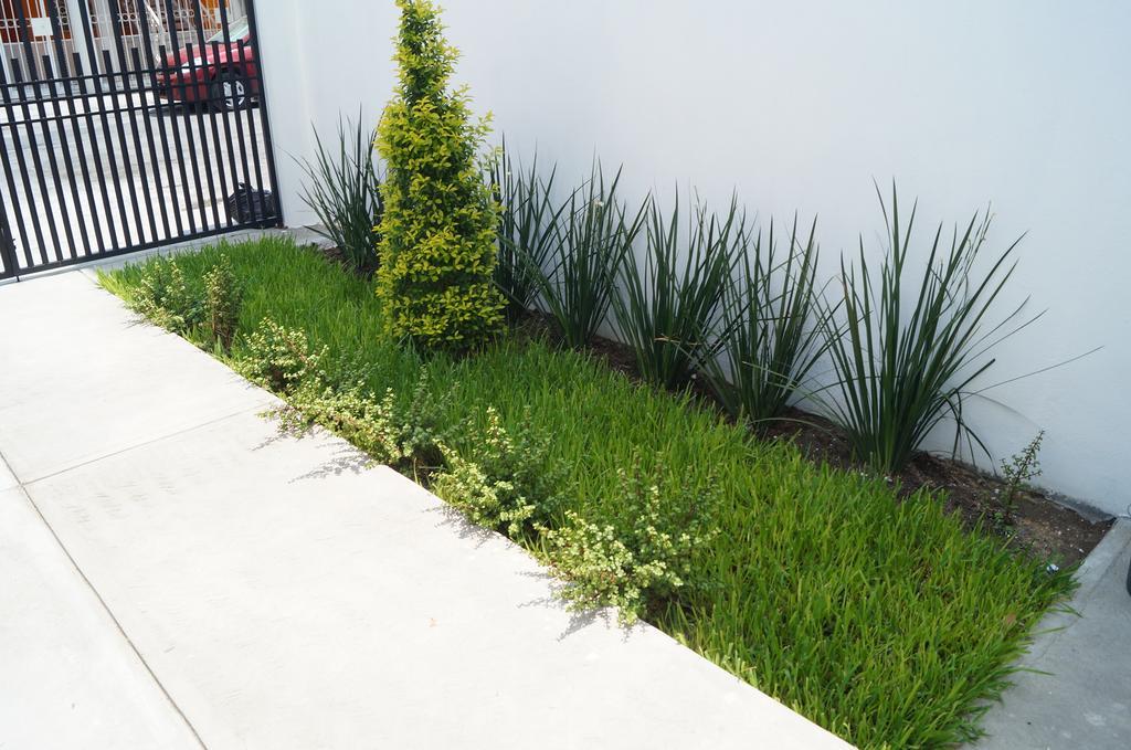 Mv Suites Monterrey Bagian luar foto