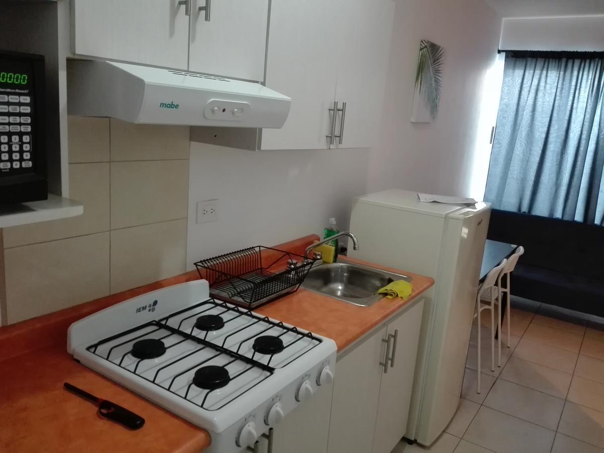 Mv Suites Monterrey Bagian luar foto